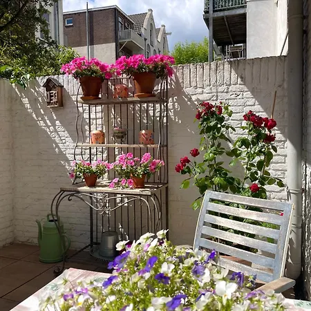Boutique Studio Magielsen-2