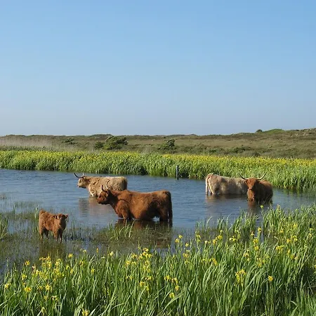 B&B De Sering Texel-3