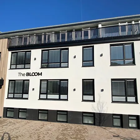The Bloom-2