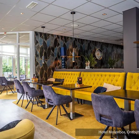 Hotel Molenbos Texel-2