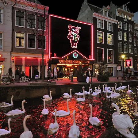 Hotel & Bar Royal Taste Amsterdam-3