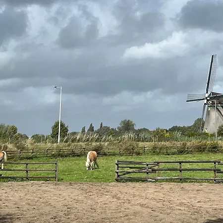 Chalet Aan De Rotte-2