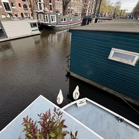 Cozy Cabin At Houseboat-3