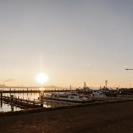 Mijn Torpedoloods-2