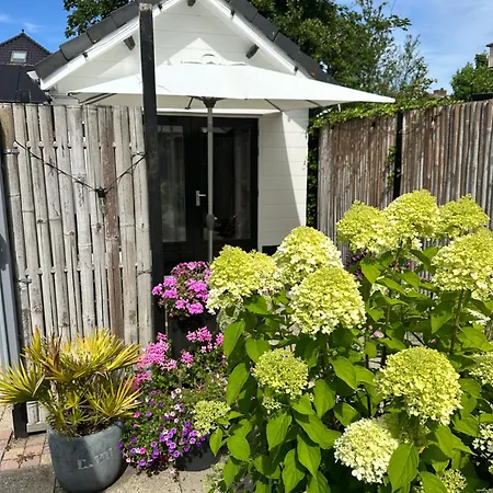 Style Gardenhouse Zwanenburg Near Amsterdam, Haarlem, Zandvoort-3