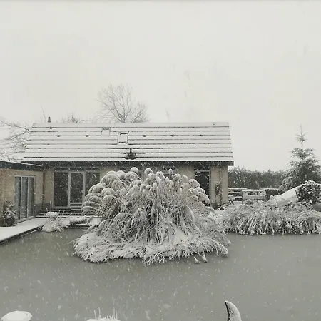 B&B Bovenweg-2