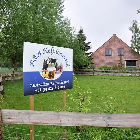 B&B Kelpiebrink-3