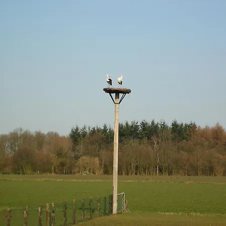 Erve Dikkeboer-3