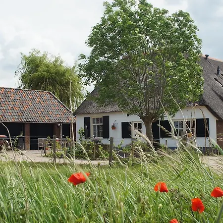 Bed&Breakfast de Bosakker-3