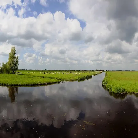 Amsterdam Farmland-3