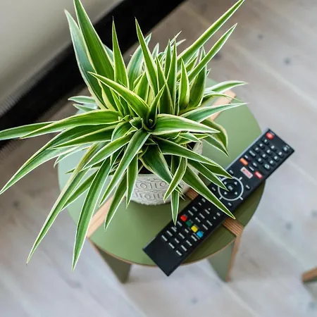 Canal-View Studio In Jordaan, Smart Tv-2