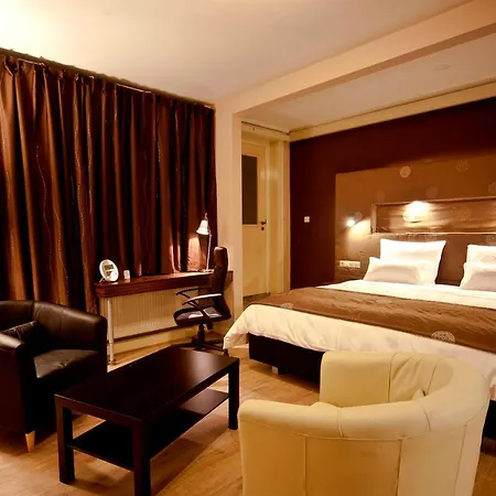 OKE HOTEL De Leygraaf Heeswijk Dinther-2