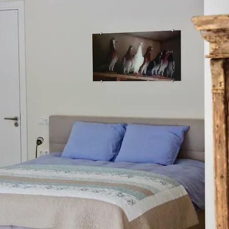 B&B de Sfeerhoeve-2