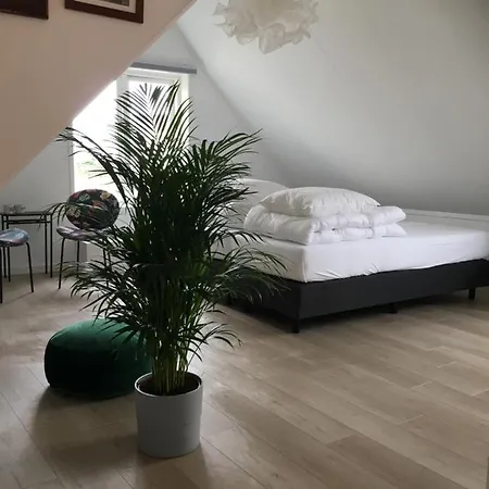 Kamers Van Goud-2