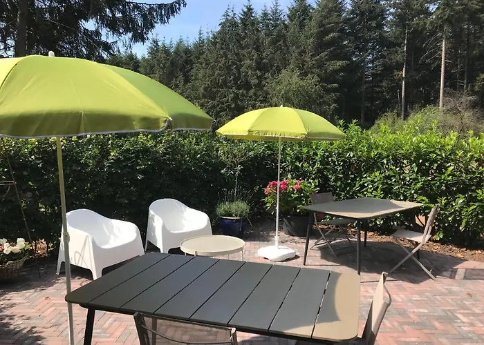 Bij Zelle Bed and Breakfast Garderen