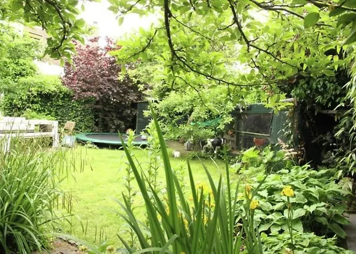 Hidden Pearl Family Home Haarlem