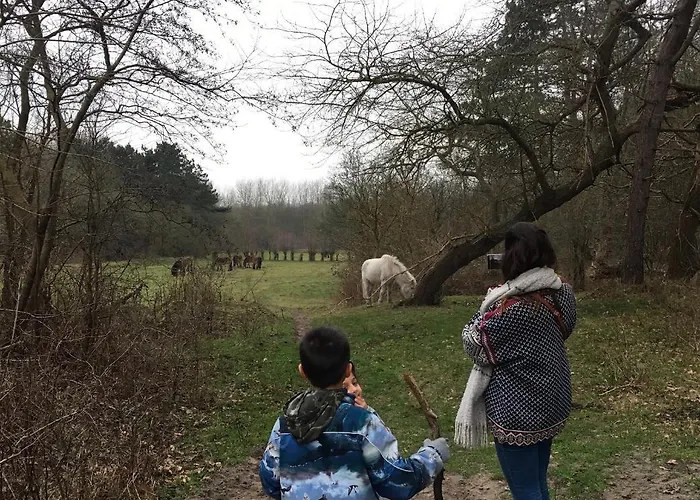 Oostvoornsch Gastenverblijf Oostvoorne