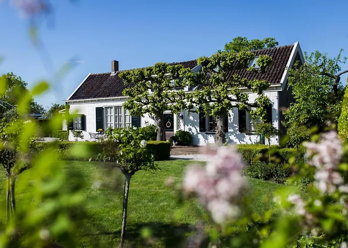 B&B Wilhelmina'S Cottage Ridderkerk