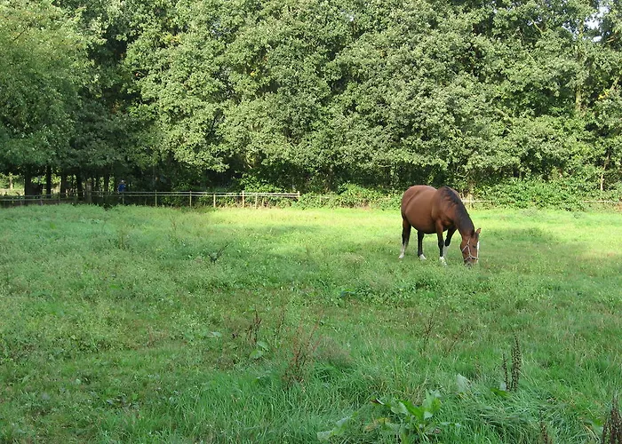 Rustpunt Groote Heide Bed and Breakfast Heeze