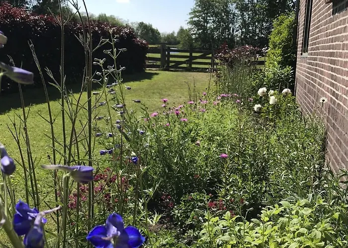 Bed & Breakfast Pax Tibi Reeuwijk