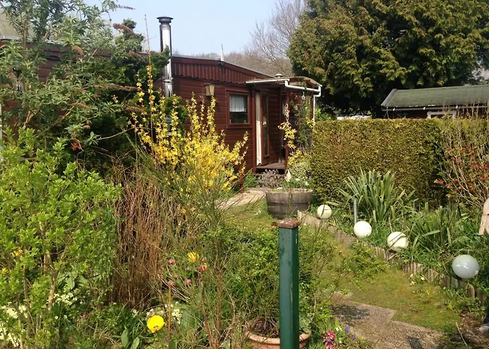 Houten chalet Oostvoorne