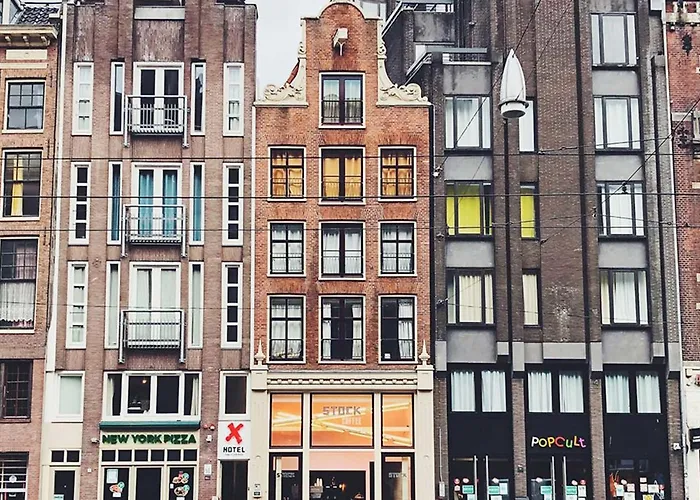 Amsterdam hotels near Artis