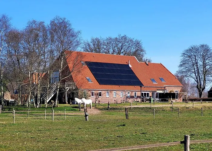 Slaopen en Stoet Bed and Breakfast Anderen