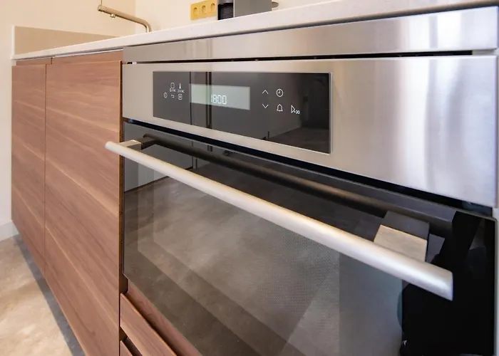 Luxurious Penthouse Newly Build Just 7-Minutes From Rotterdam Cs City App3 Schiedam