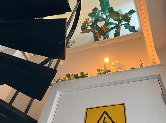 Monkey Tree Stay Schiedam