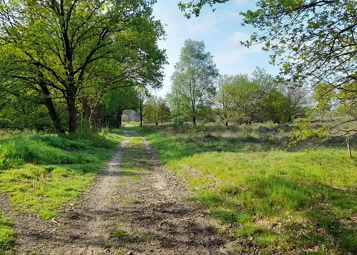 Bed&Breakfast De Kleine Vos Elspeet