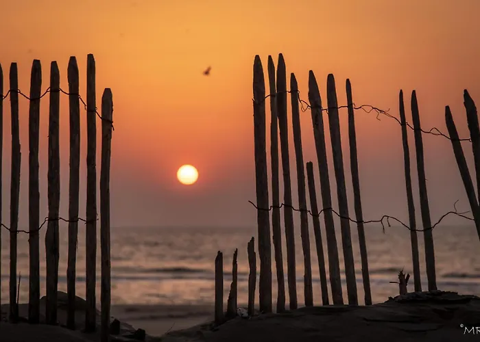 Hotels in Katwijk aan Zee