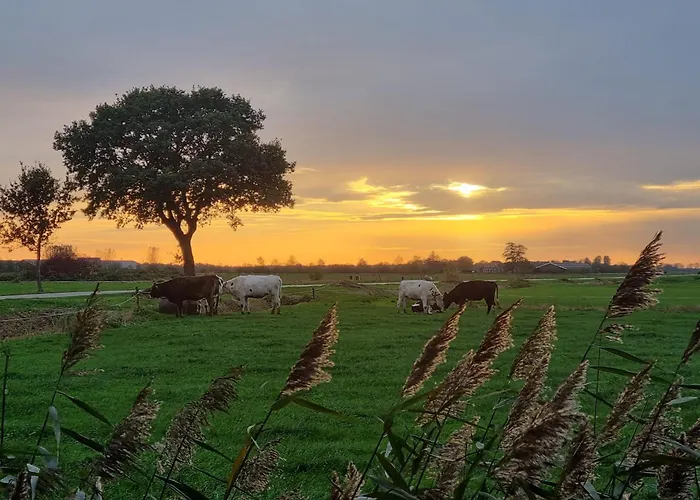 Guesthouse Het Gouden Eiland Veendam