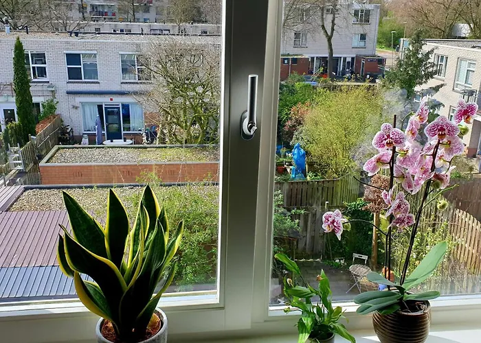 Amor Guesthouse Amsterdam