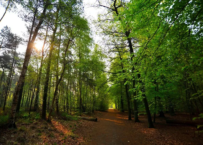 Parkhotel Mastbosch Bréda