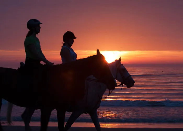 Hotels in Katwijk aan Zee