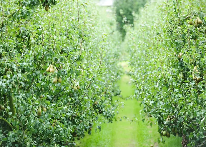 Hotel De Watertoren Dordrecht