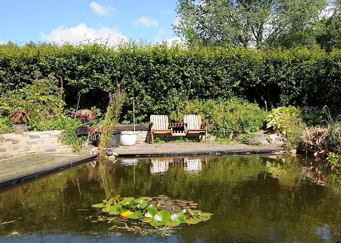 De Violier Bed and Breakfast Eext