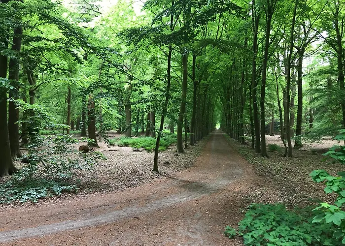 B&B 'Het Gripshuis' Vught