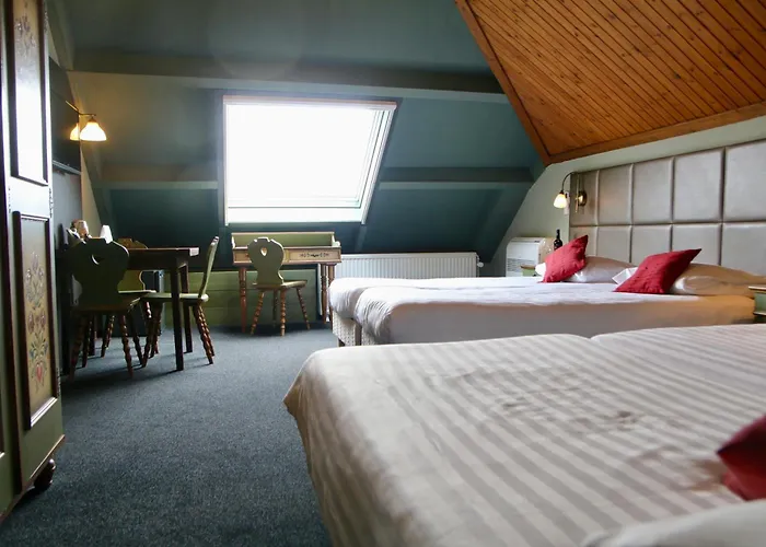 Hotels in Roosteren
