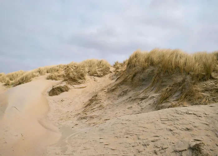 Hôtels à Burgh-Haamstede