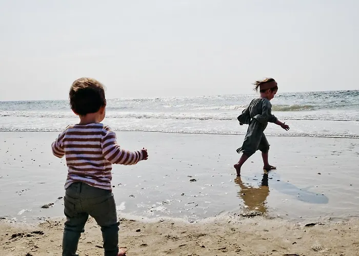 Strandhuisjes Zoomers aan Zee Castricum