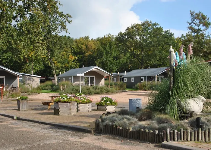 Vakantiepark Schouwen Renesse