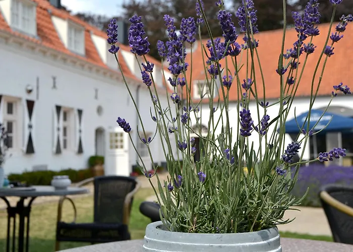 Kasteel Aldenghoor Bed and Breakfast Haelen