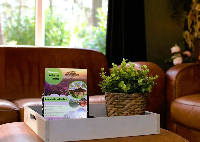 Chalet&Glamping Ons plekje in het bos Beekbergen