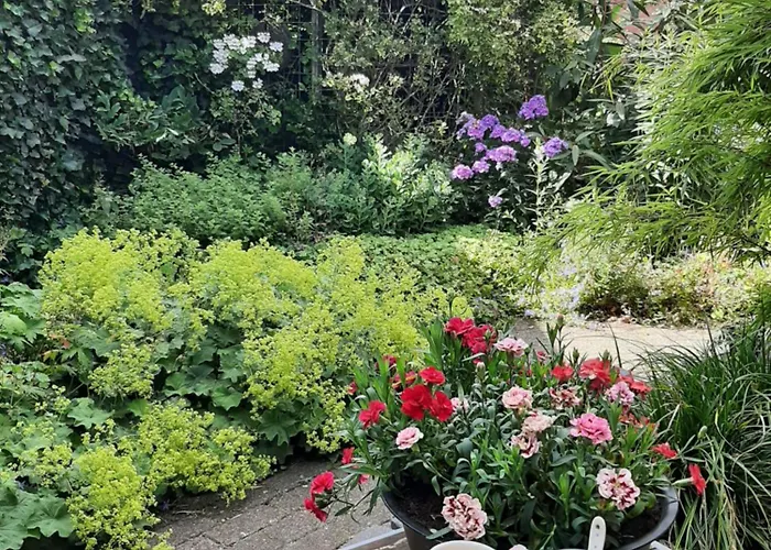 Mahil-Laya Bed and Breakfast Meppel