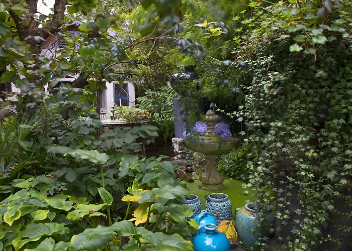 Breitner House Bed and Breakfast Amsterdam