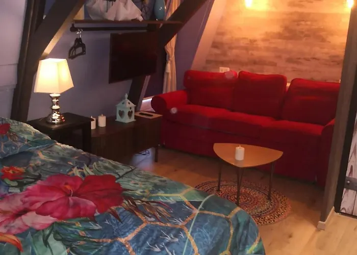 Bed and Breakfast Wittezwaan Harlingen