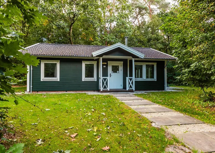 Vakantiepark De Wiltzangh Ruinen