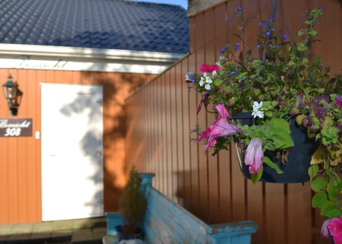 Bed&Breakfast Boszicht Leeuwarden