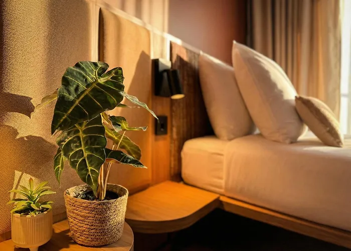 Hotel con animali ammessi a Amsterdam